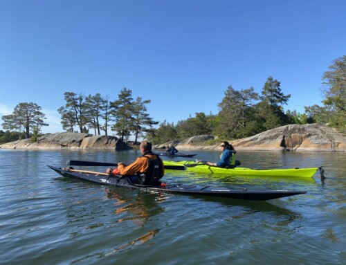 Använd Friskvårdsbidraget till paddling.