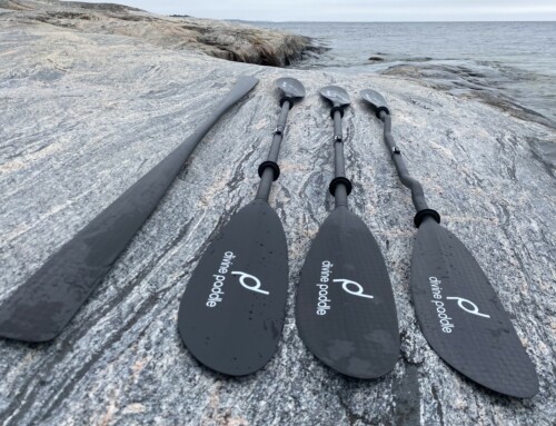 Nya divine paddle Black Edition serie